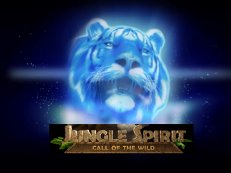 jungle spirit gokkast