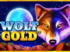 wolf gold